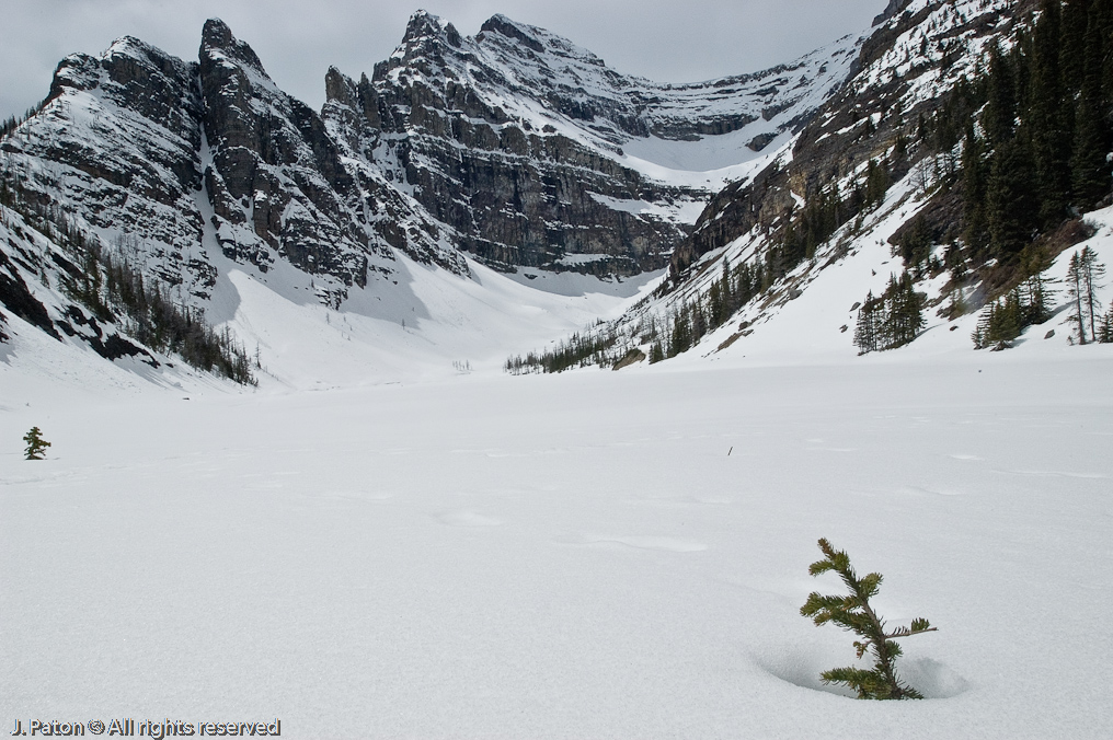    Lake Louise, Banff National Park, Albert, Canada