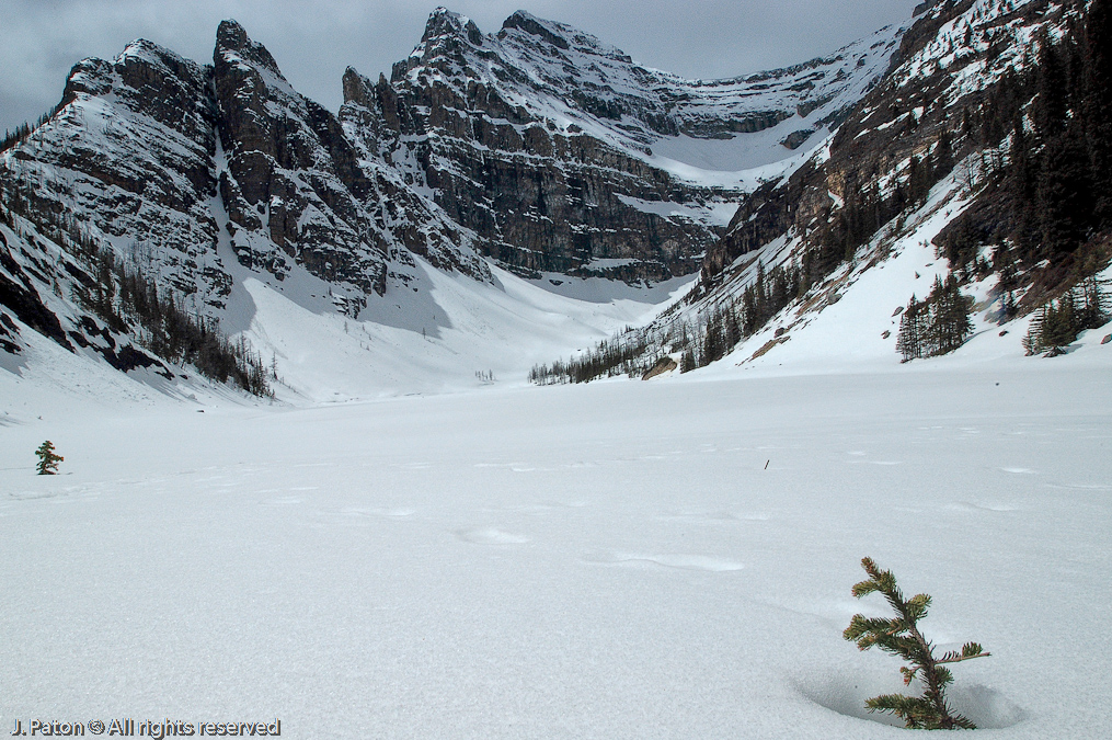    Lake Louise, Banff National Park, Albert, Canada
