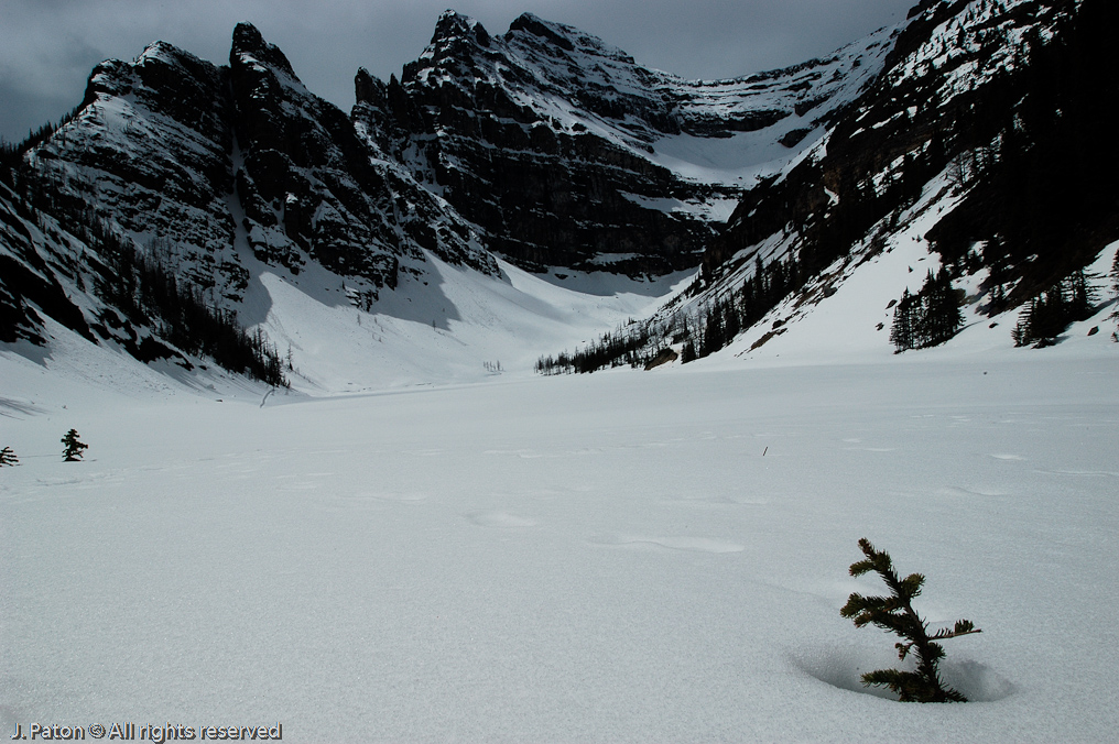    Lake Louise, Banff National Park, Albert, Canada