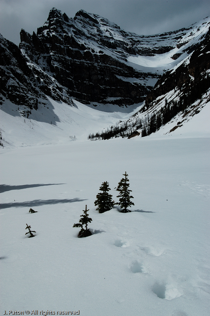    Lake Louise, Banff National Park, Albert, Canada