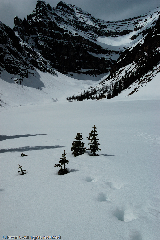    Lake Louise, Banff National Park, Albert, Canada