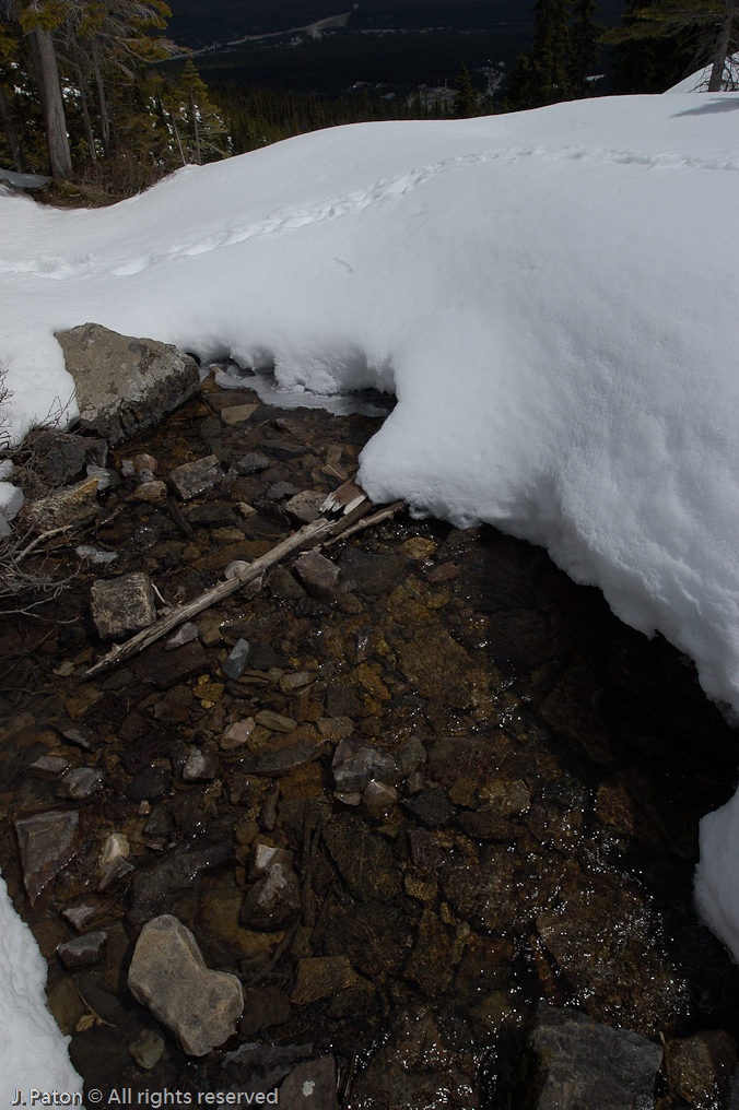    Lake Louise, Banff National Park, Albert, Canada