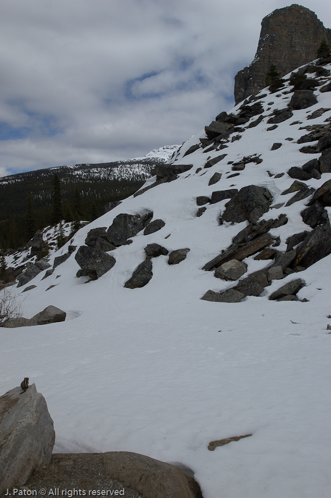    Moraine Lake, Banff National Park, Albert, Canada