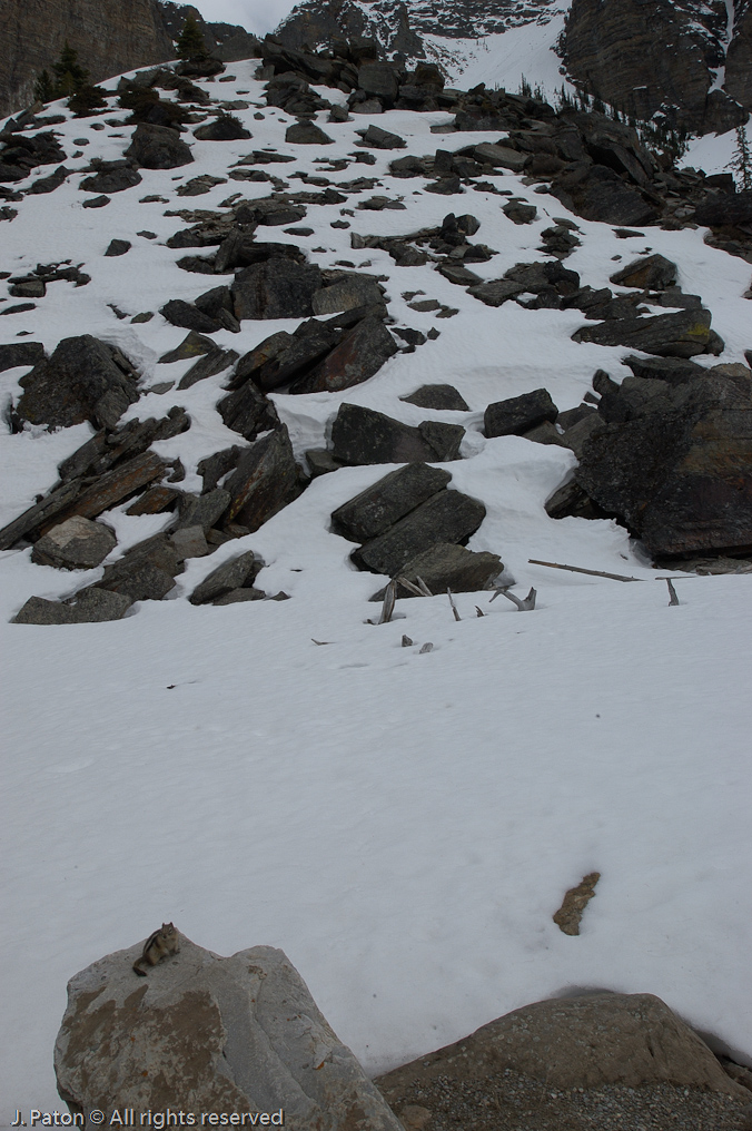   Moraine Lake, Banff National Park, Albert, Canada