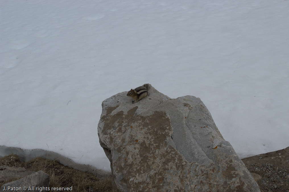    Moraine Lake, Banff National Park, Albert, Canada
