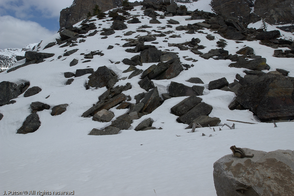    Moraine Lake, Banff National Park, Albert, Canada