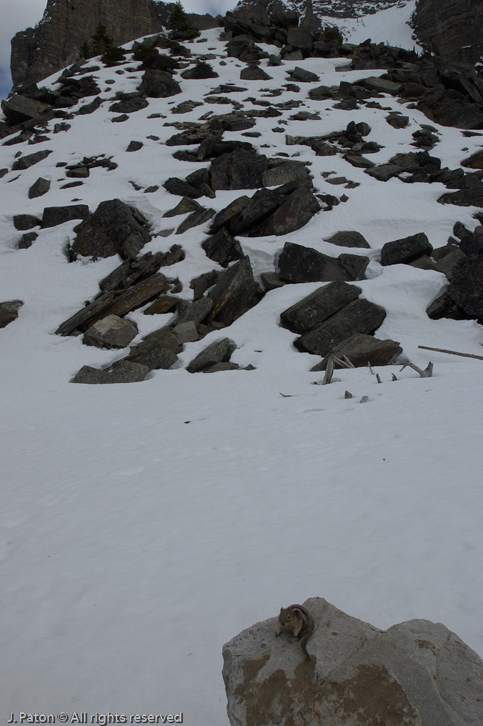    Moraine Lake, Banff National Park, Albert, Canada