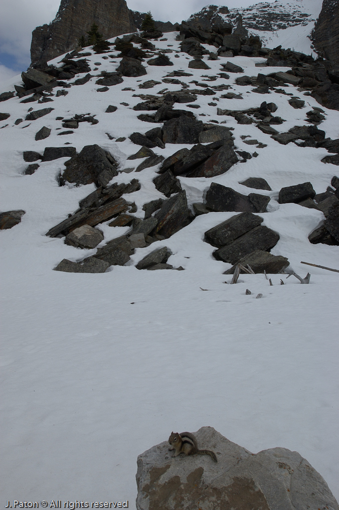    Moraine Lake, Banff National Park, Albert, Canada