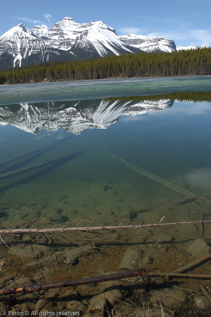    Icefield Parkway, Banff National Park, Alberta Canada