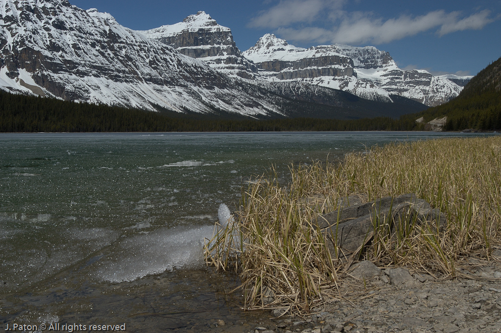    Icefield Parkway, Banff National Park, Alberta Canada