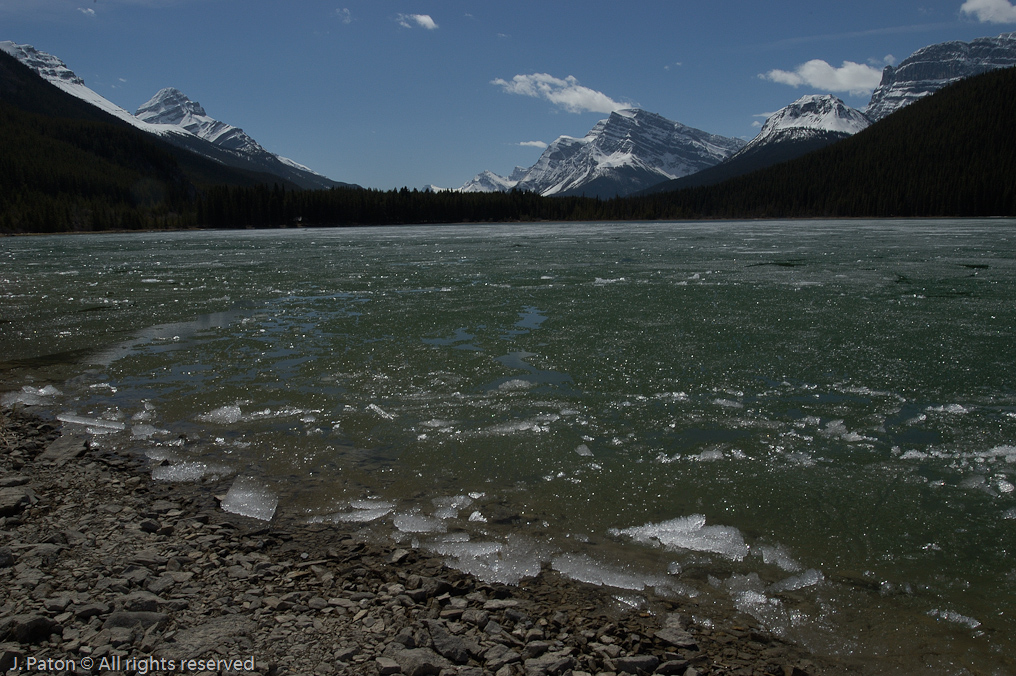    Icefield Parkway, Banff National Park, Alberta Canada