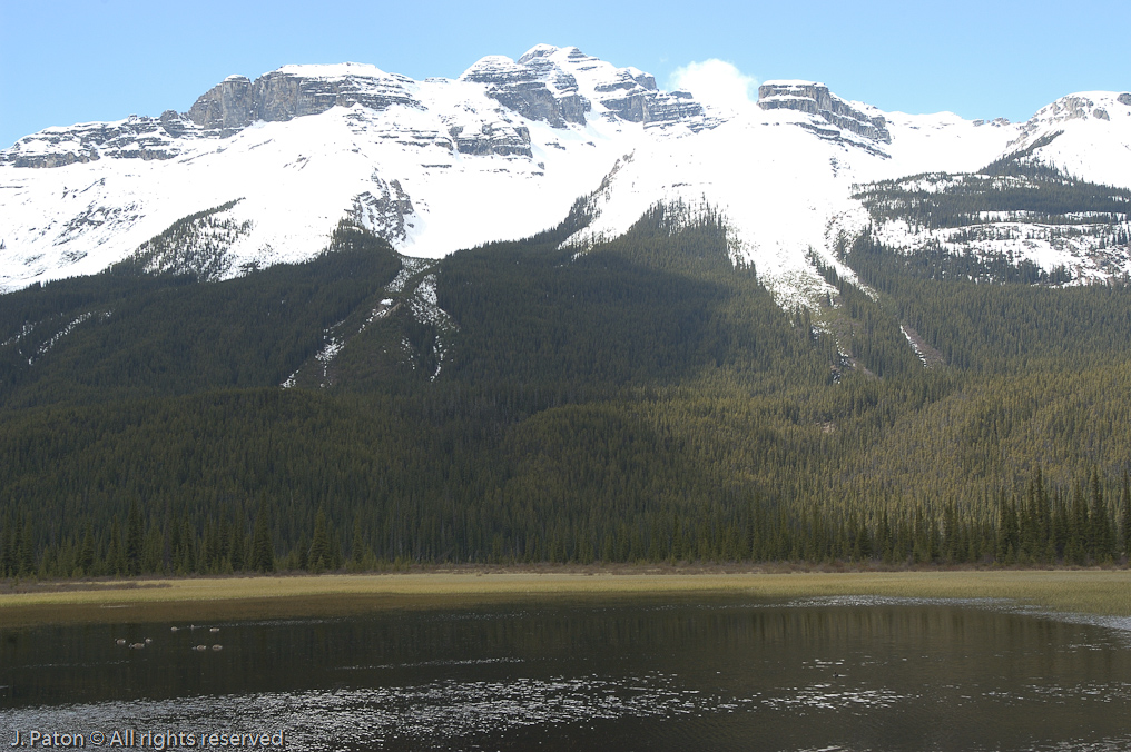    Icefield Parkway, Banff National Park, Alberta Canada