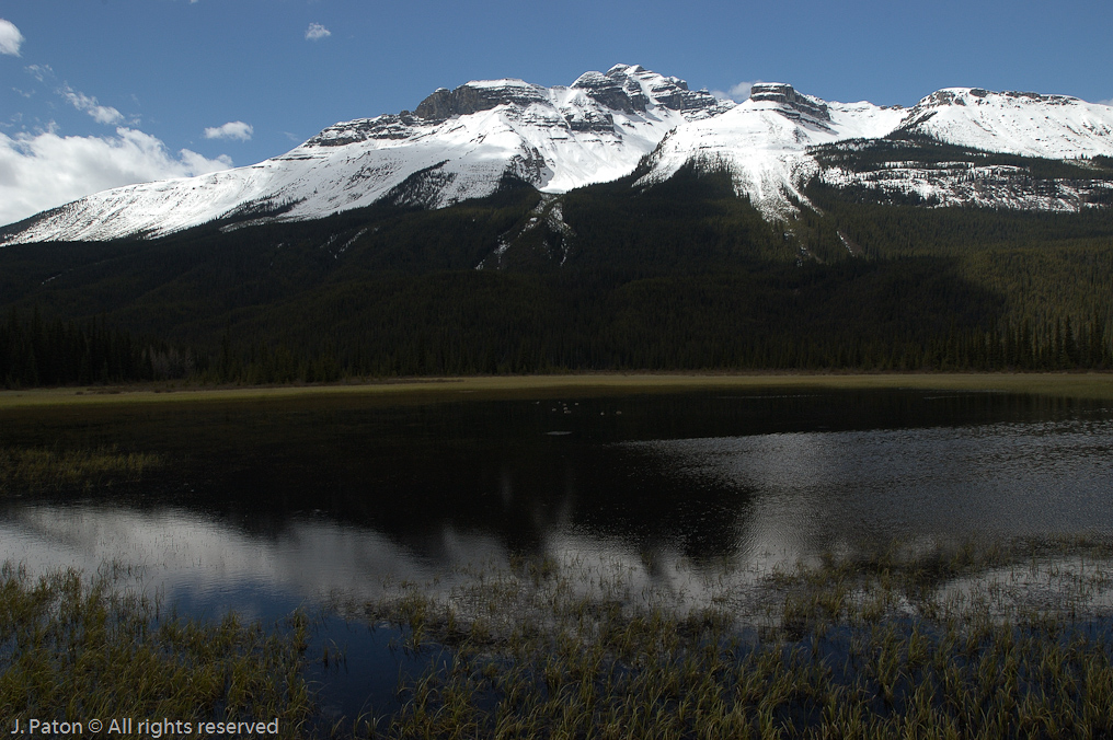    Icefield Parkway, Banff National Park, Alberta Canada