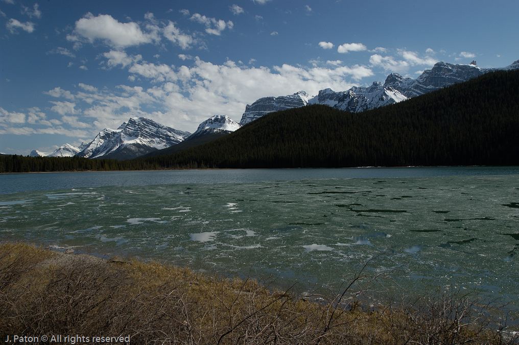 Ice Melted During the Day   Icefield Parkway, Banff National Park, Alberta Canada