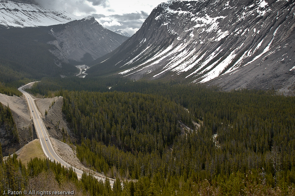 A Portion of the Icefield Parkway   Icefield Parkway, Jasper National Park, Alberta, Canada