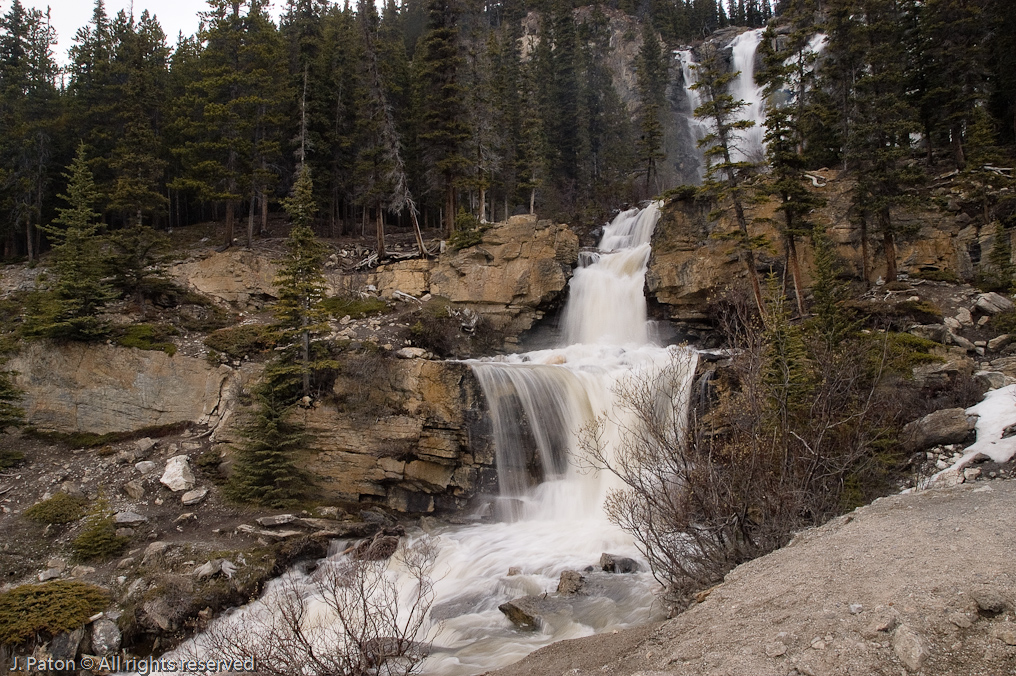 Another View of Tangle Falls   Icefield Parkway, Jasper National Park, Alberta, Canada