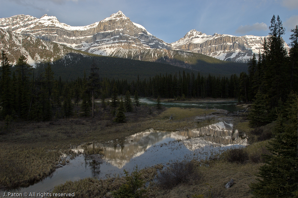 Canadian Rockies Reflection   icefield Parkway, Banff National Park, Alberta Canada