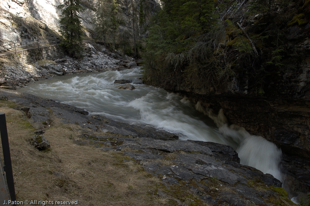 Stream Near Johnston Canyon Trail   Banff National Park, Alberta, Canada