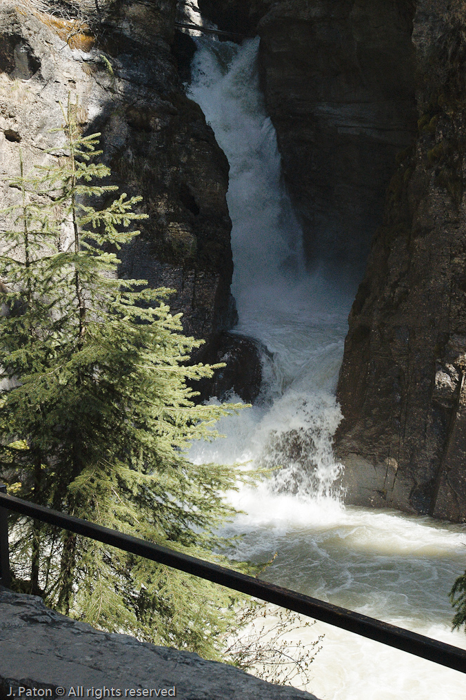 Johnston Canyon   Banff National Park, Alberta, Canada