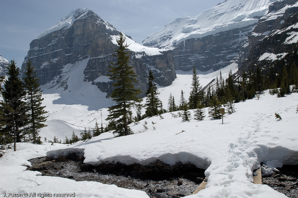 View from the Plain of the Six Glaciers Teahouse   Lake Louise, Banff National Park, Alberta, Canada