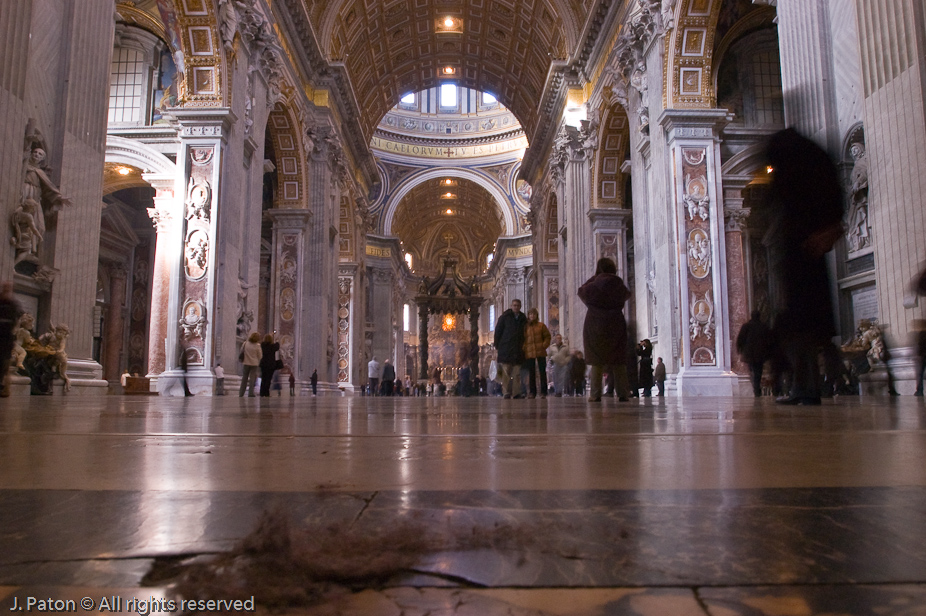 Lint's View of St. Peters Basilica   Vatican City