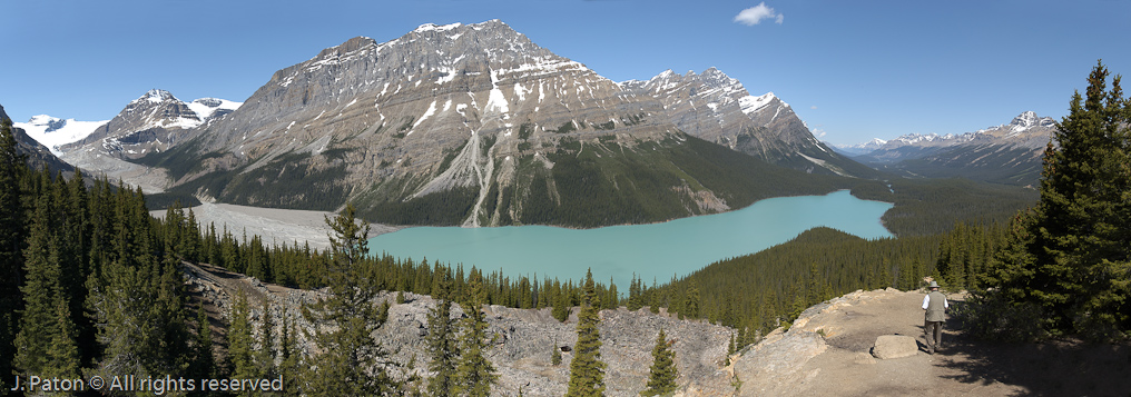 Peyto Lake   Icefield Parkway, Banff National Park, Alberta, Canada