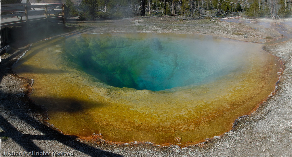 Morning Glory Pool   Upper Geyser Basin, Yellowstone National Park, Wyoming