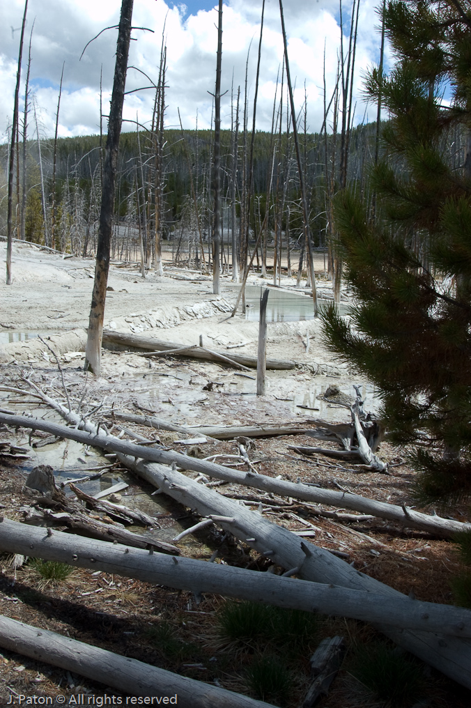 Cistern Spring   Norris Geyser Basin, Yellowstone National Park, Wyoming