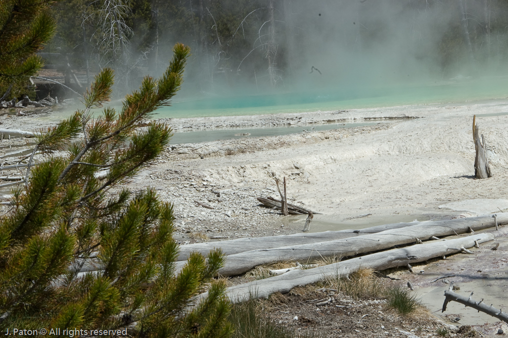 Cistern Spring   Norris Geyser Basin, Yellowstone National Park, Wyoming