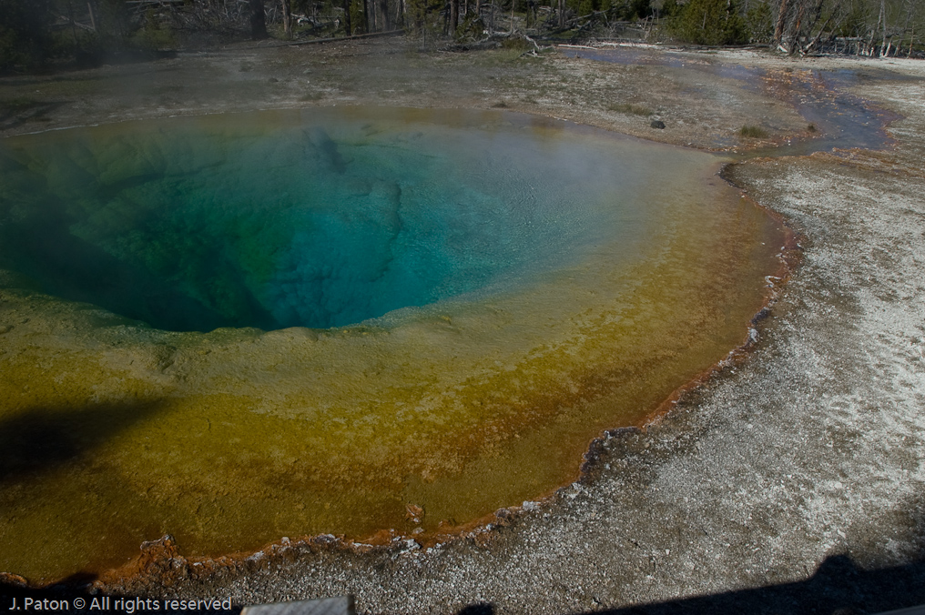 Morning Glory Pool   Upper Geyser Basin, Yellowstone National Park, Wyoming