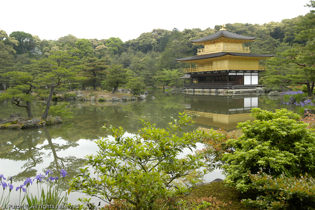 Kinkakuji, the Golden Pavilion   Kyoto, Japan