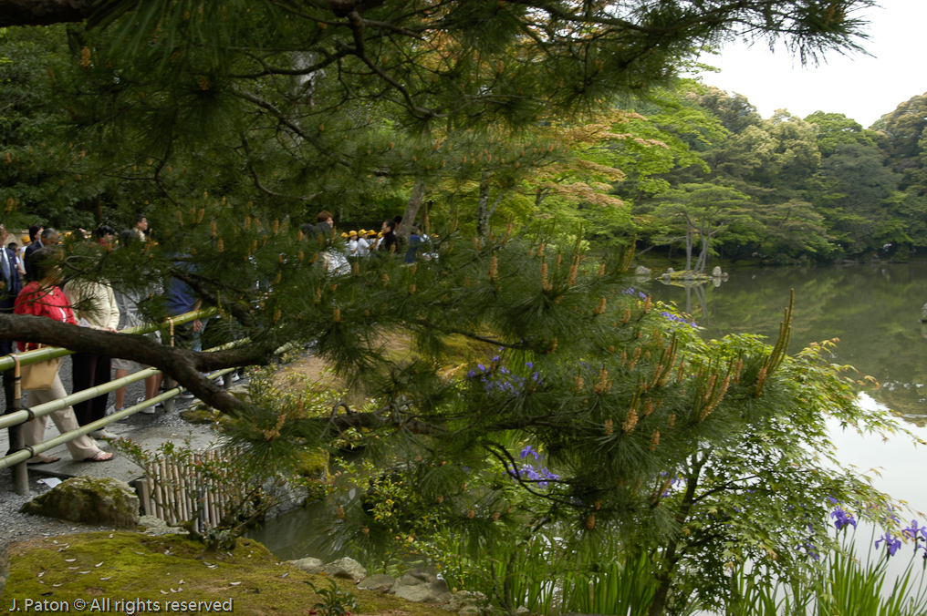 Kinkakuji, the Golden Pavilion   Kyoto, Japan