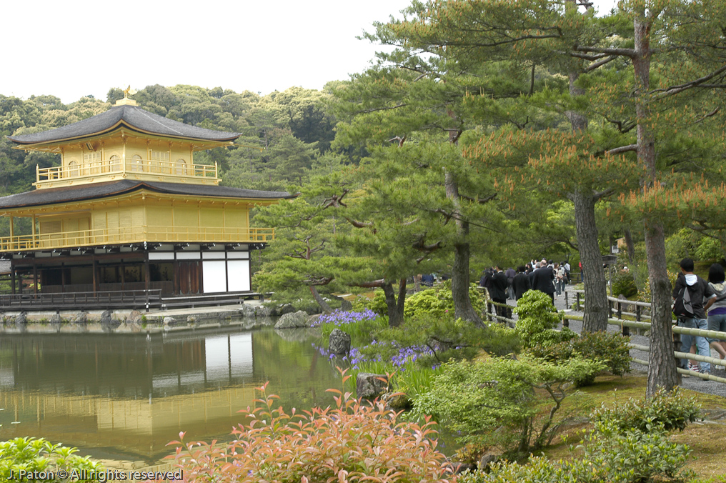 Kinkakuji, the Golden Pavilion   Kyoto, Japan