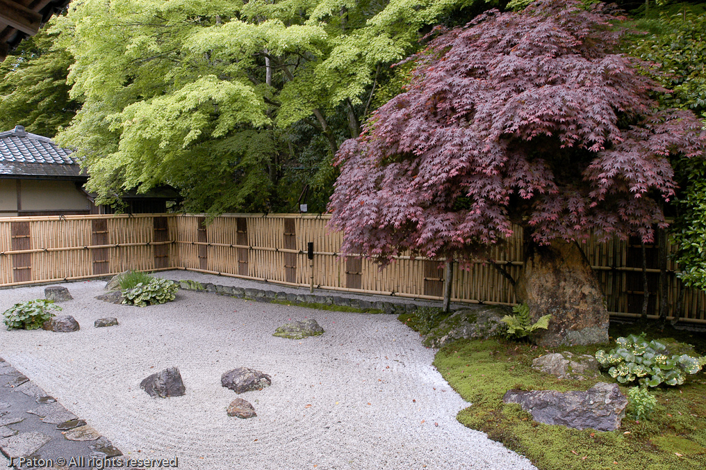 Maple and Rock Garden at Nanzen-ji Temple   Kyoto, Japan