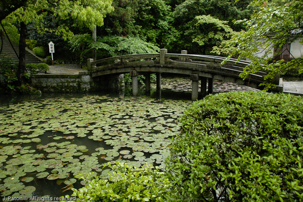 Pond Near Chion-in Temple   Kyoto, Japan