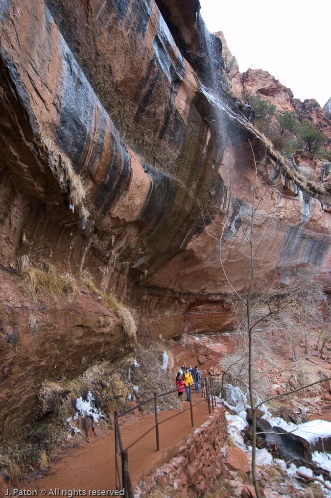    Zion National Park, Utah