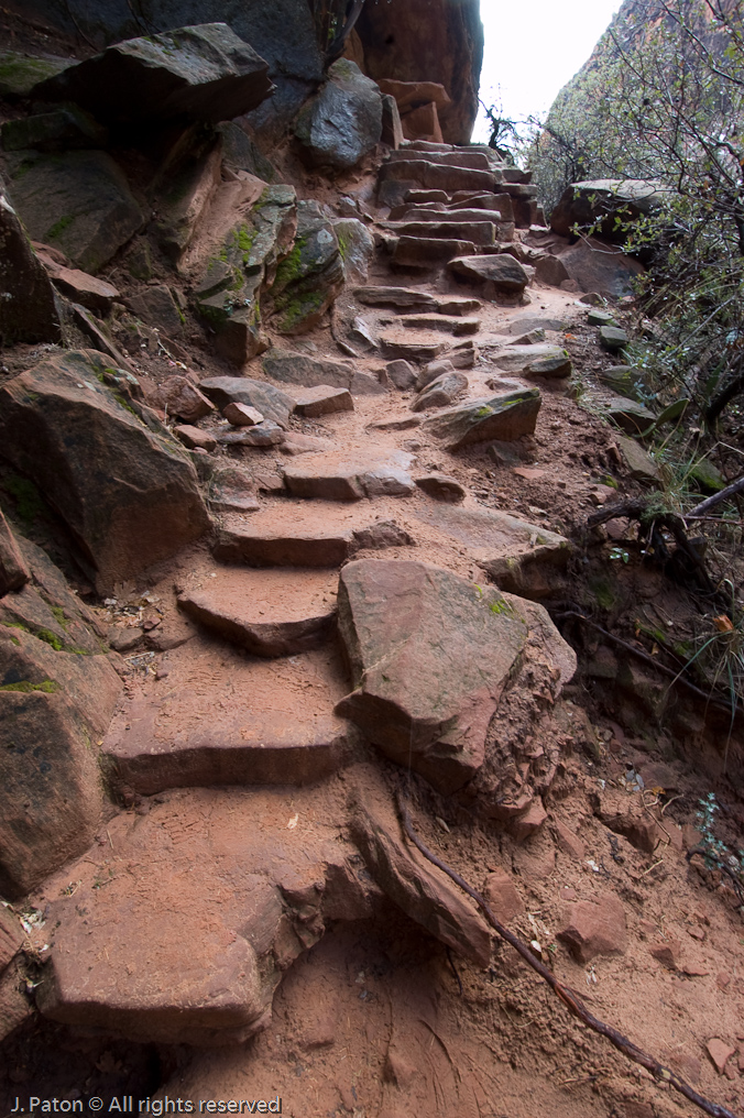    Zion National Park, Utah
