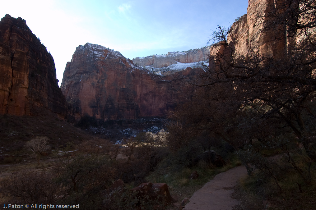 Riverside Walk   Zion National Park, Utah