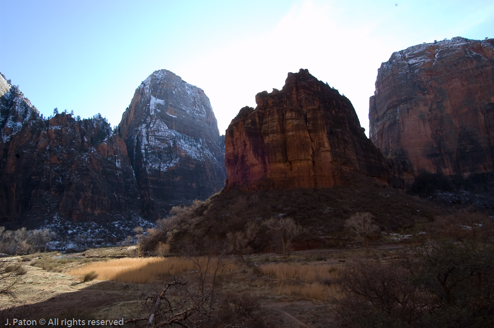 Riverside Walk   Zion National Park, Utah