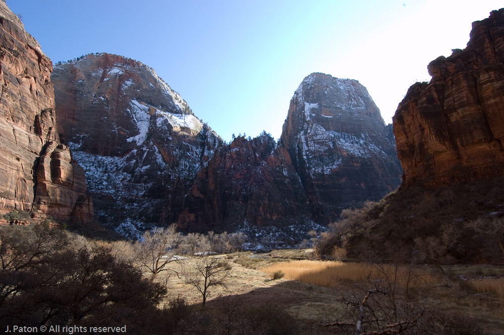 Riverside Walk   Zion National Park, Utah