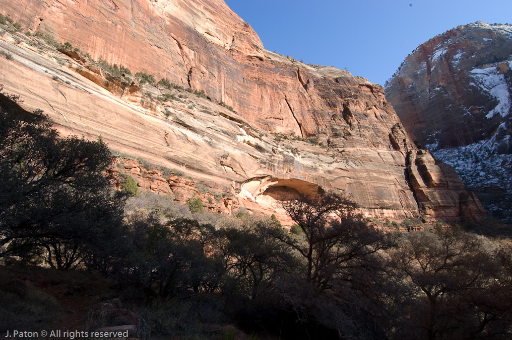 Riverside Walk   Zion National Park, Utah