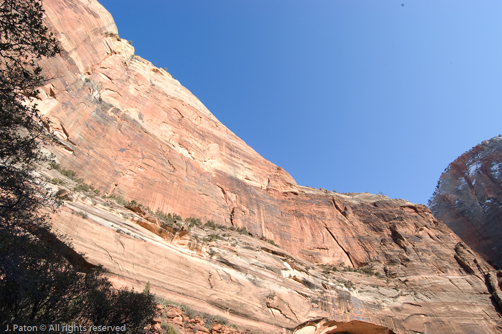 Riverside Walk   Zion National Park, Utah