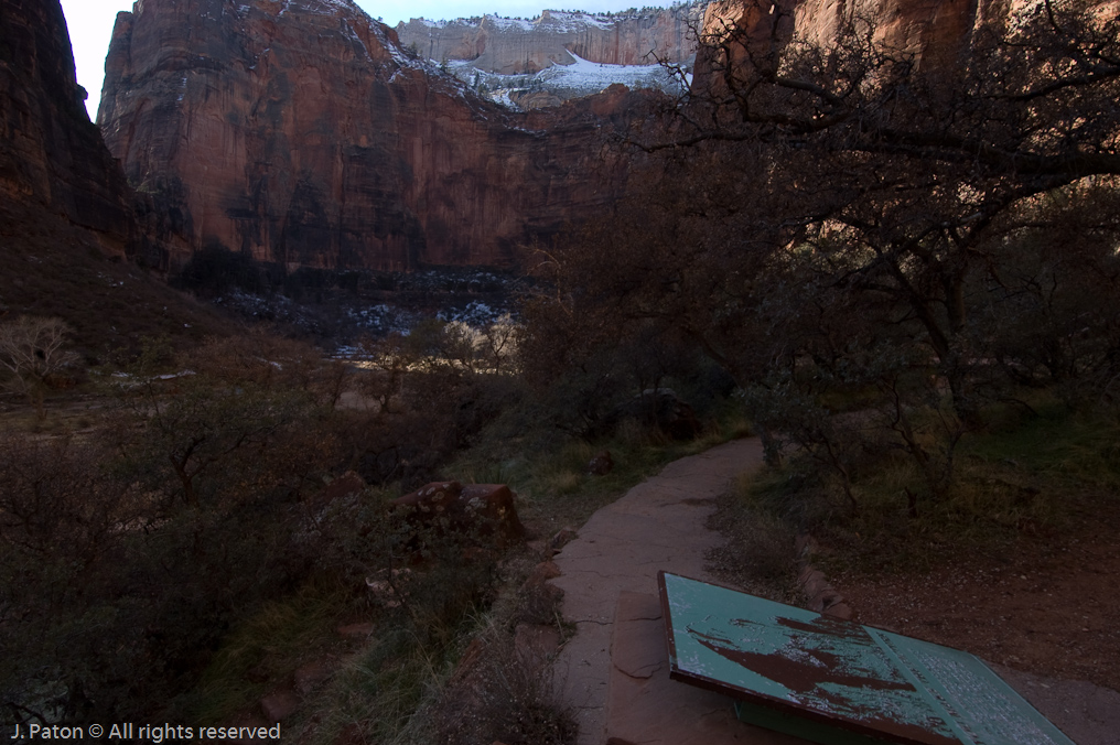 Riverside Walk   Zion National Park, Utah