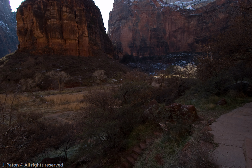 Riverside Walk   Zion National Park, Utah