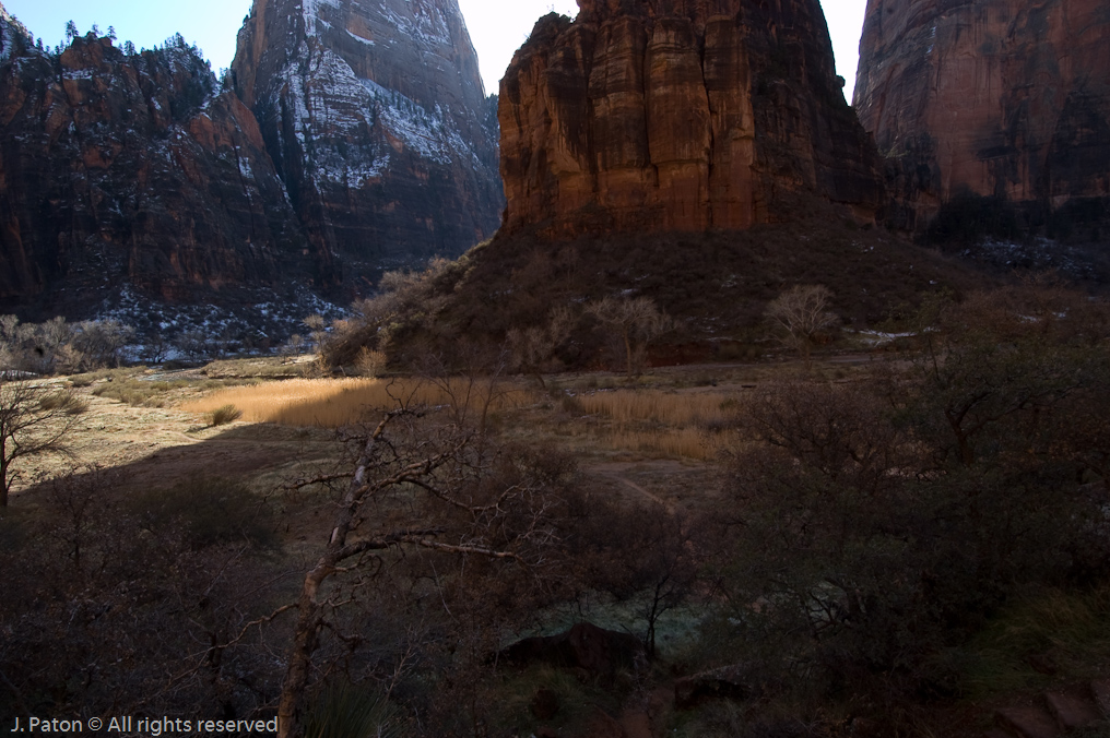 Riverside Walk   Zion National Park, Utah