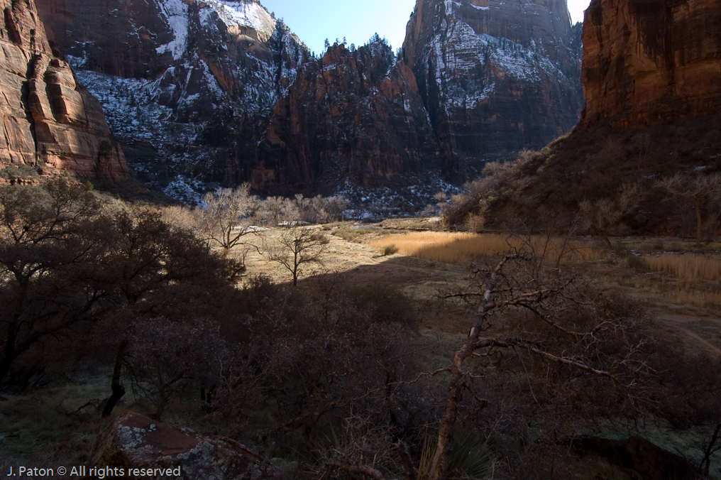 Riverside Walk   Zion National Park, Utah