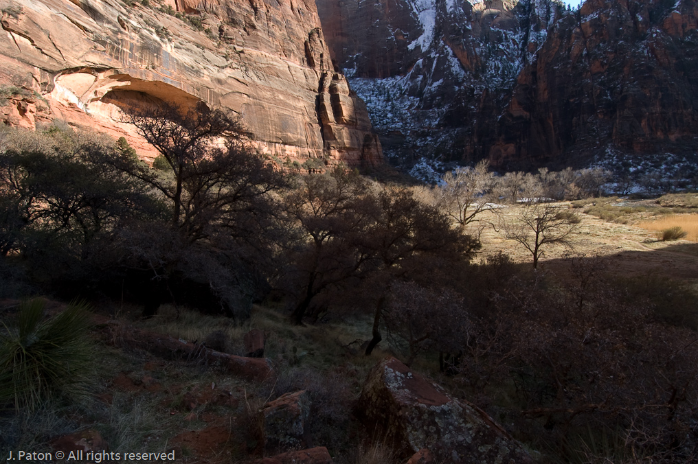 Riverside Walk   Zion National Park, Utah