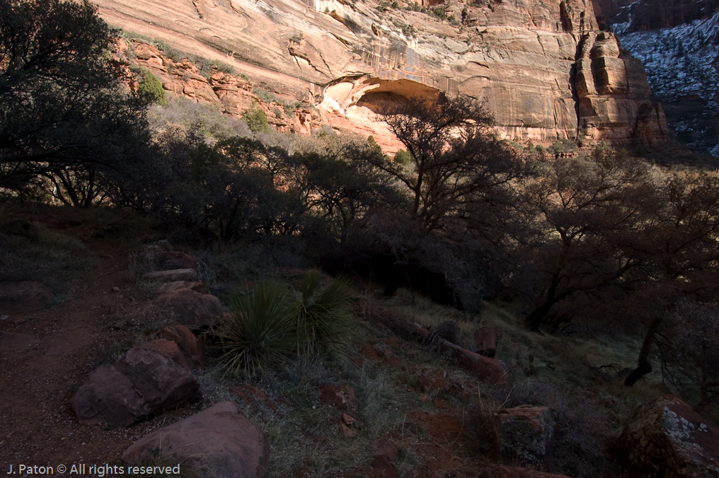 Riverside Walk   Zion National Park, Utah