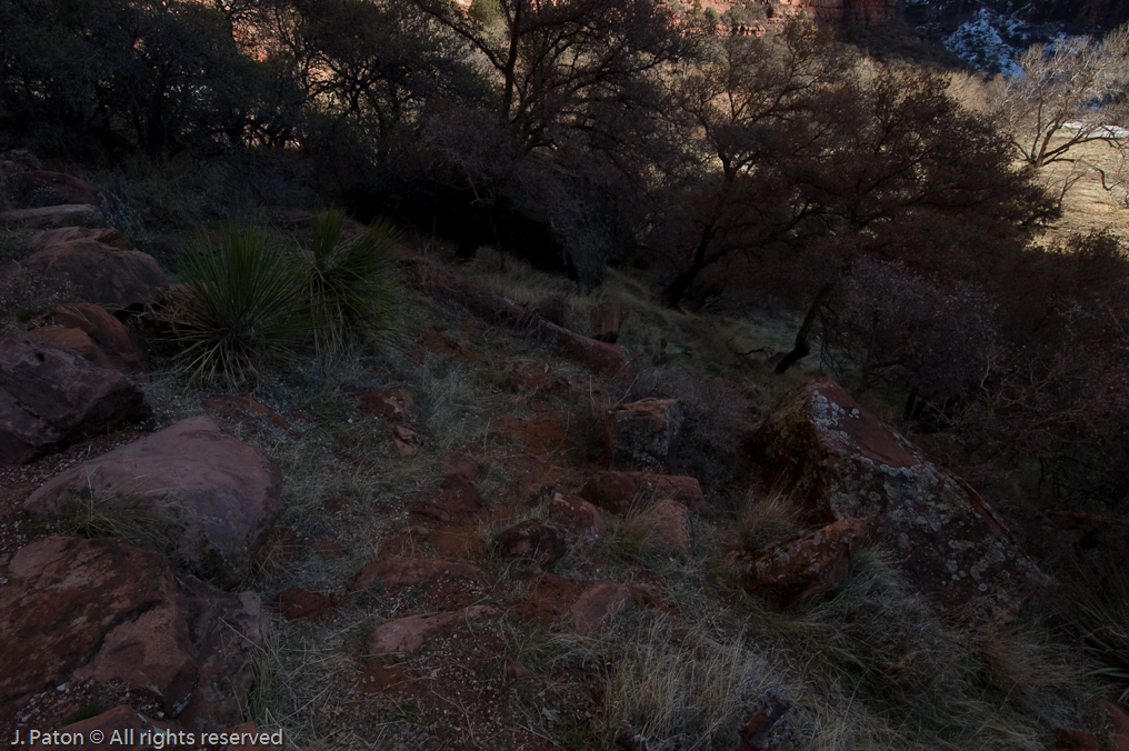 Riverside Walk   Zion National Park, Utah