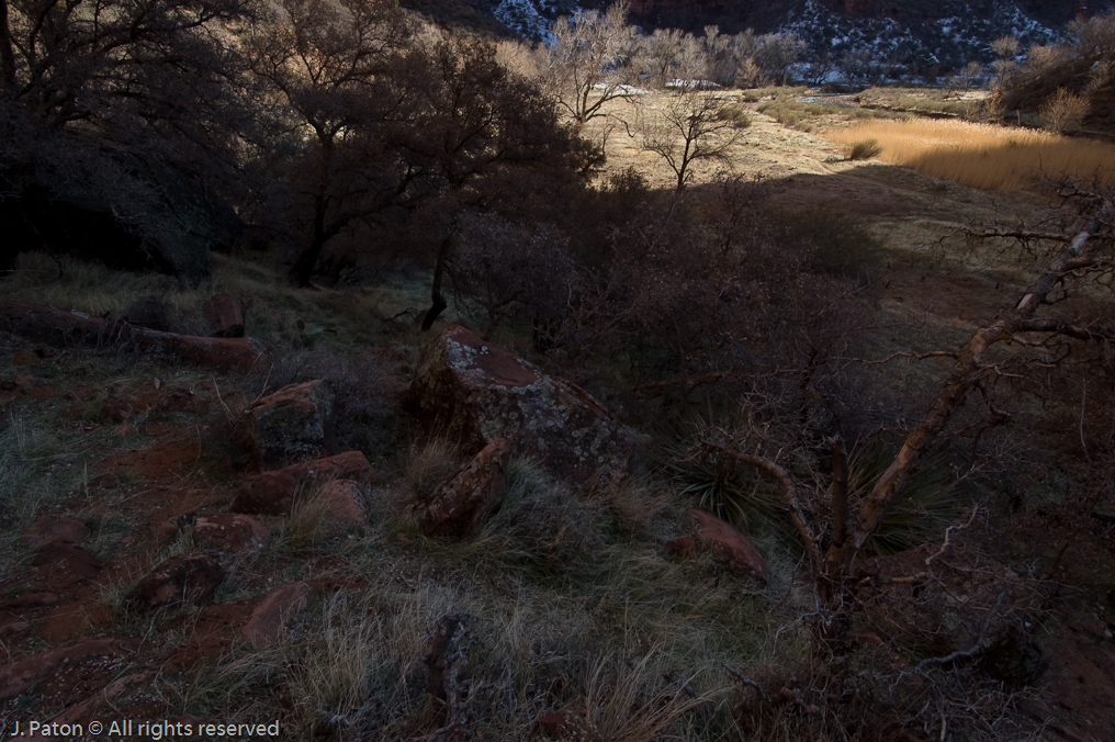 Riverside Walk   Zion National Park, Utah